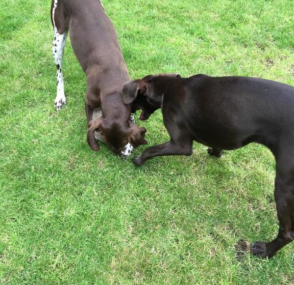 Aotearoa Southport Bed And Breakfast