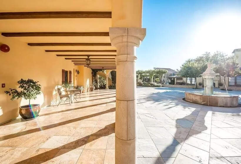 住宿加早餐 Calipaso Winery