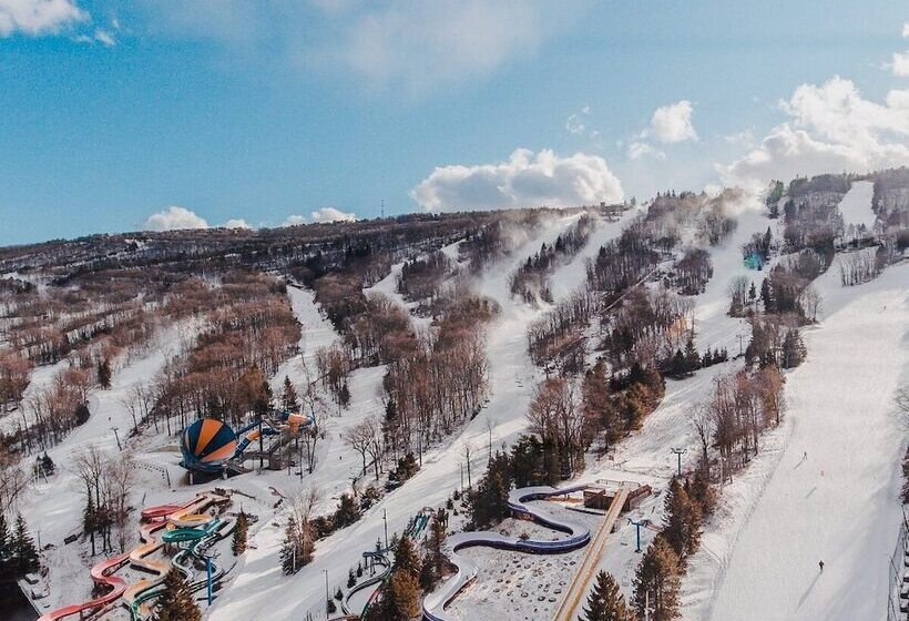 Bed and Breakfast Chelsea Sun Inn