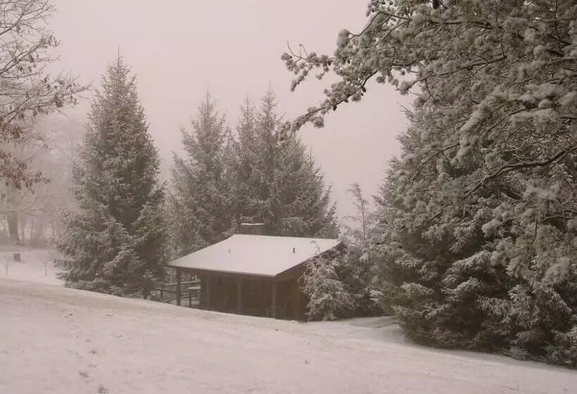 Aamiaismajoitus (B&B) Fire Mountain Resort