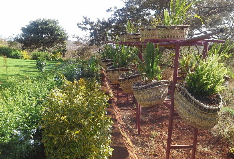 酒店 Acacia Farm Lodge