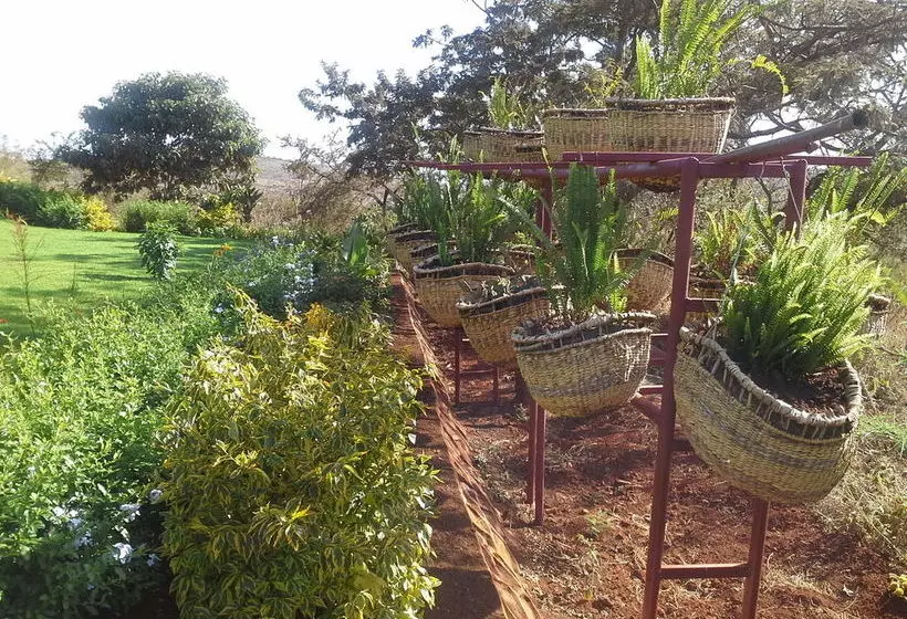 호텔 Acacia Farm Lodge