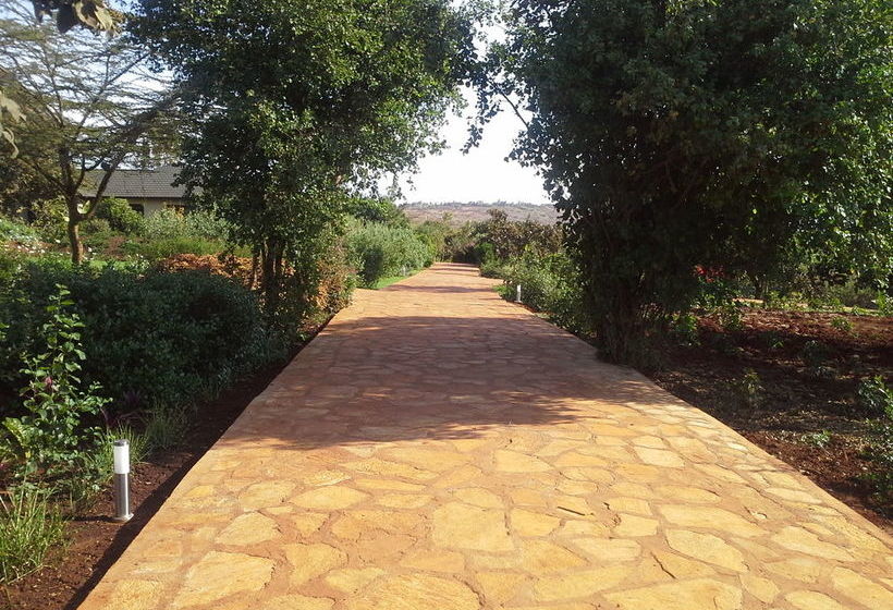 酒店 Acacia Farm Lodge