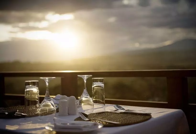 호텔 Acacia Farm Lodge