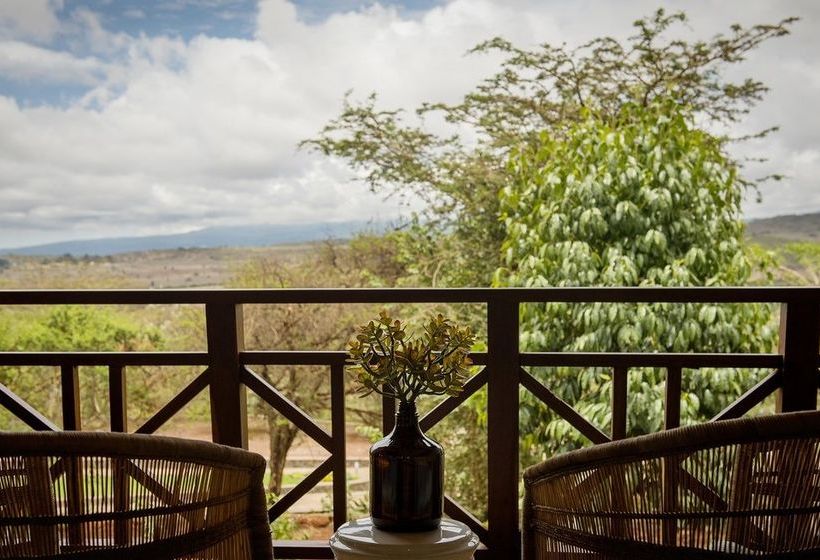 酒店 Acacia Farm Lodge