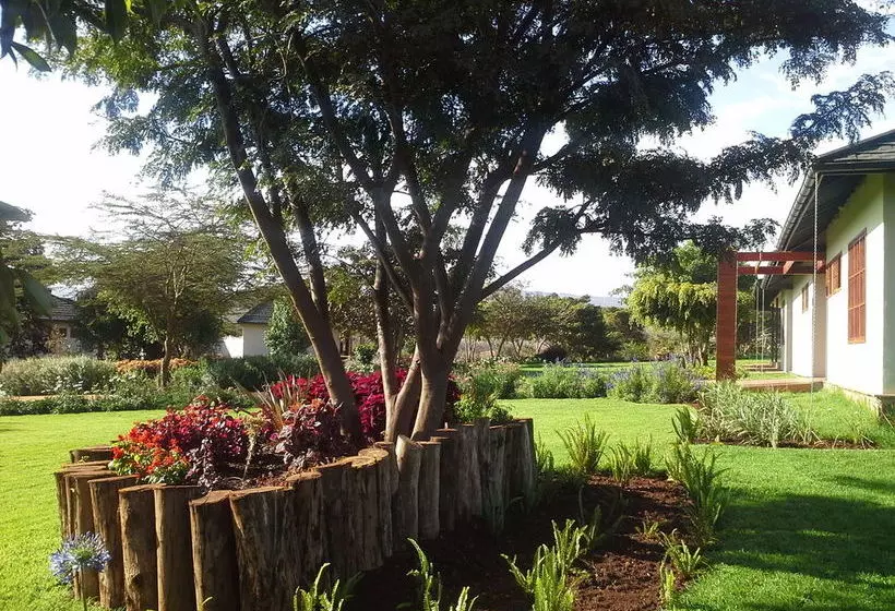 호텔 Acacia Farm Lodge