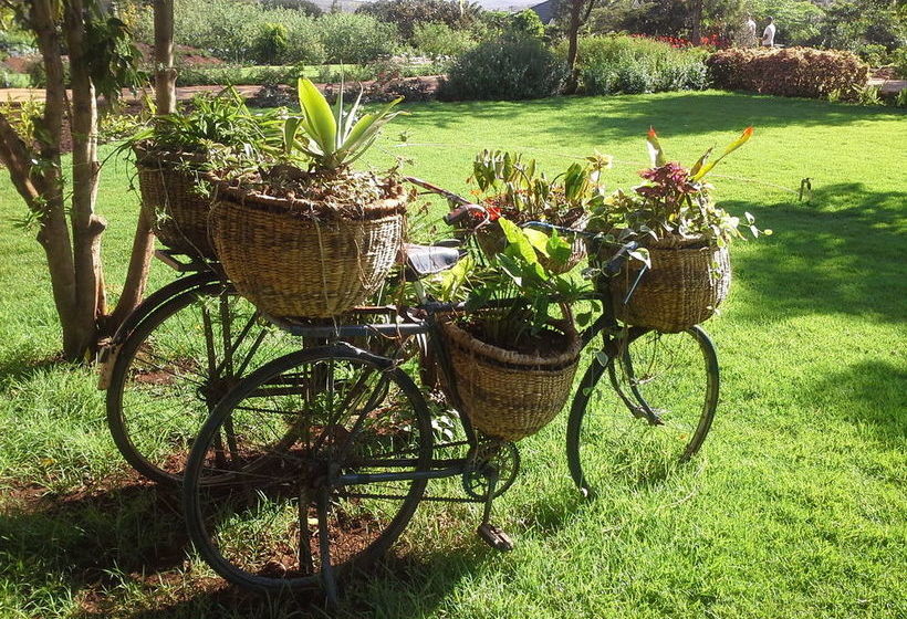 酒店 Acacia Farm Lodge