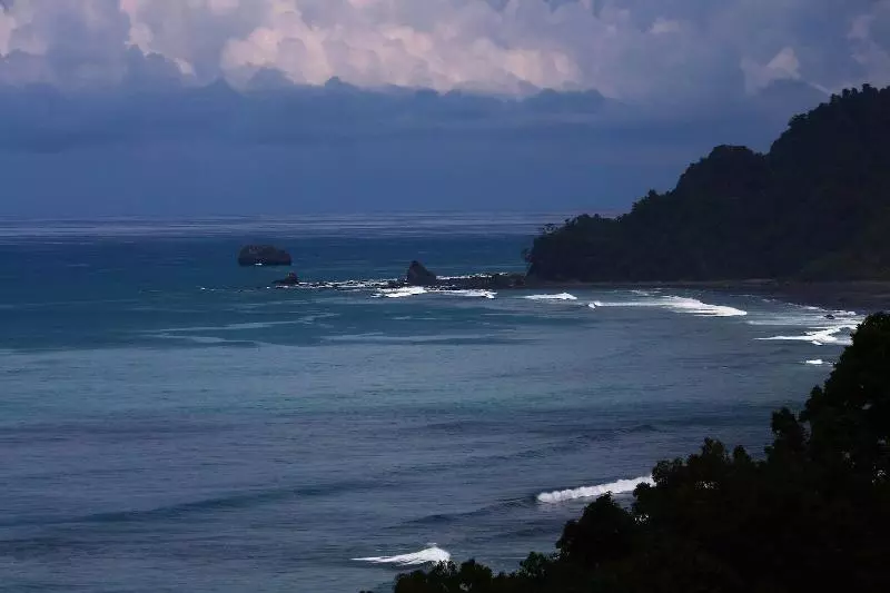 호텔 La Leona Eco Lodge