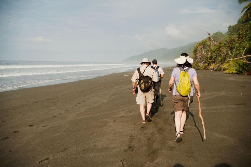 Отель La Leona Eco Lodge