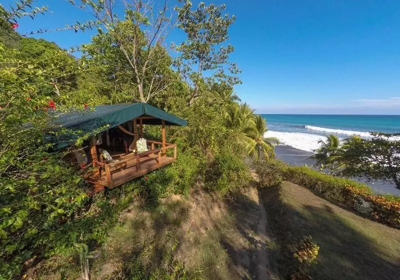 호텔 La Leona Eco Lodge