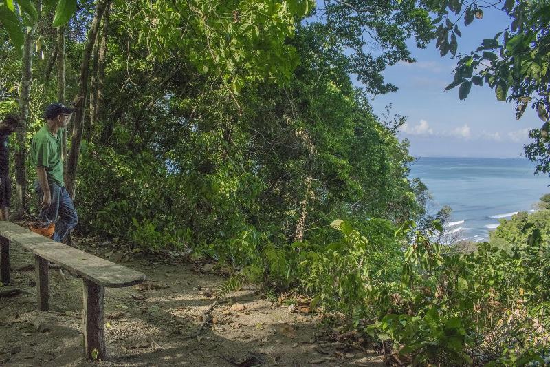 Отель La Leona Eco Lodge