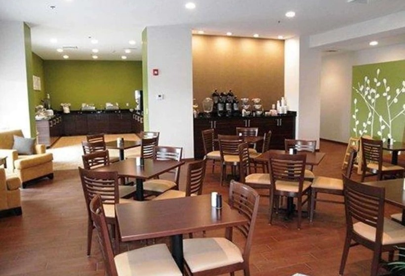 בית מלון כפרי Sleep Inn & Suites Belmont   St. Clairsville