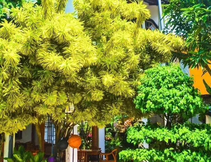 Pension (Hôtel basse catégorie) Castle Bay Resort