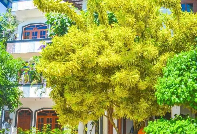 Pension (Hôtel basse catégorie) Castle Bay Resort