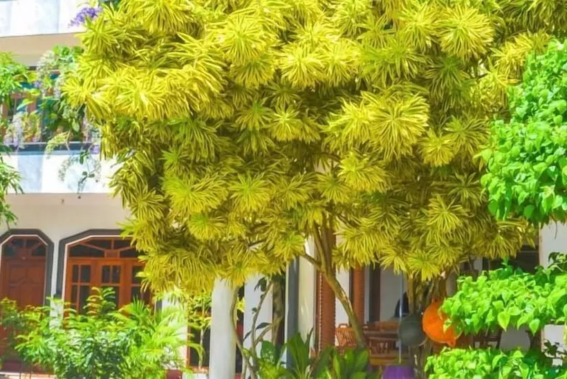 Pension (Hôtel basse catégorie) Castle Bay Resort