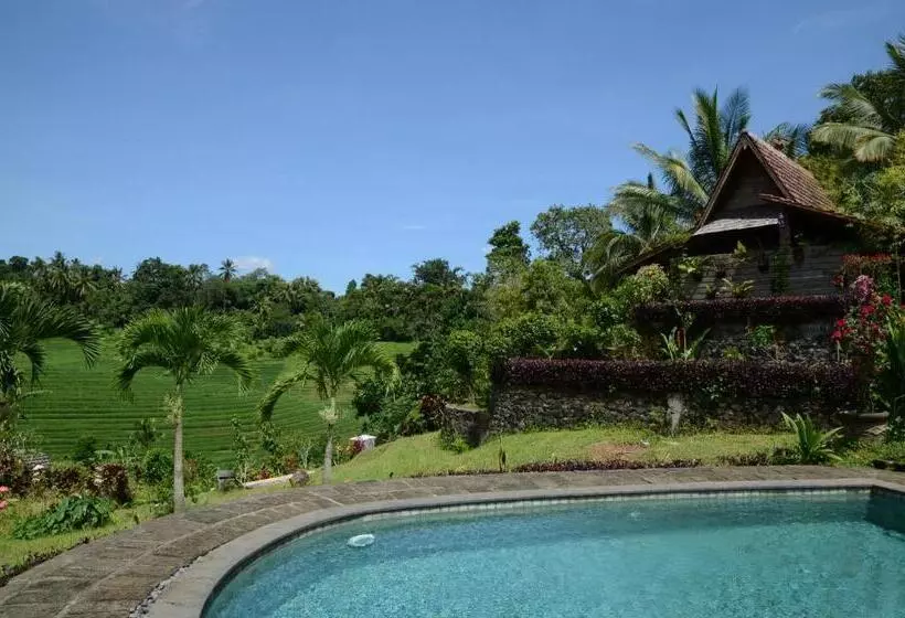 ベッドアンドブレックファースト Bali Lush