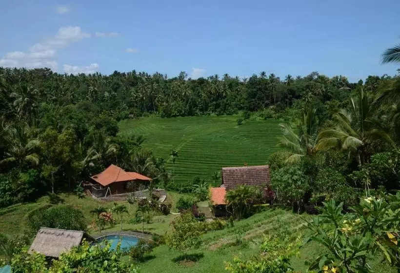 ベッドアンドブレックファースト Bali Lush