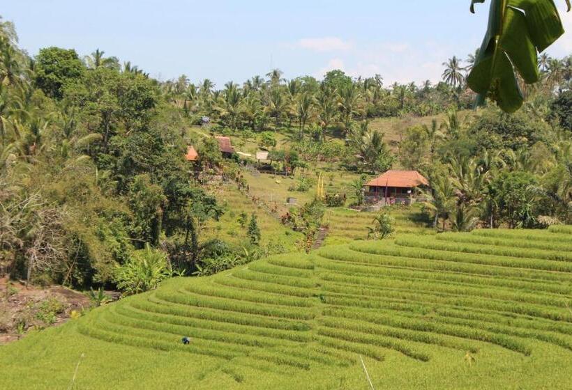 مبيت وإفطار Bali Lush