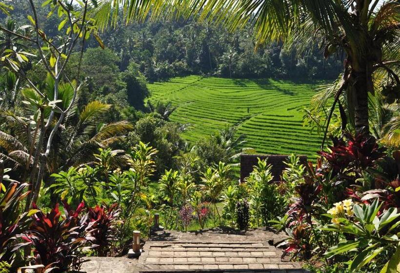 مبيت وإفطار Bali Lush