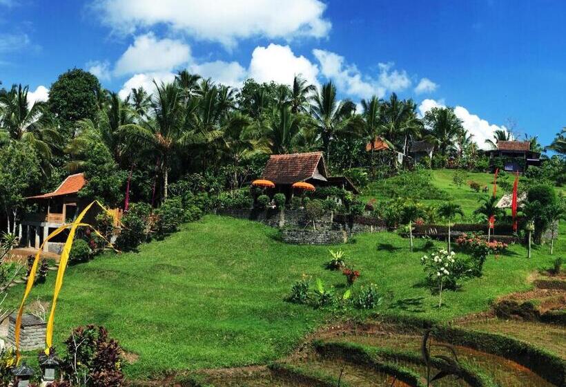 مبيت وإفطار Bali Lush