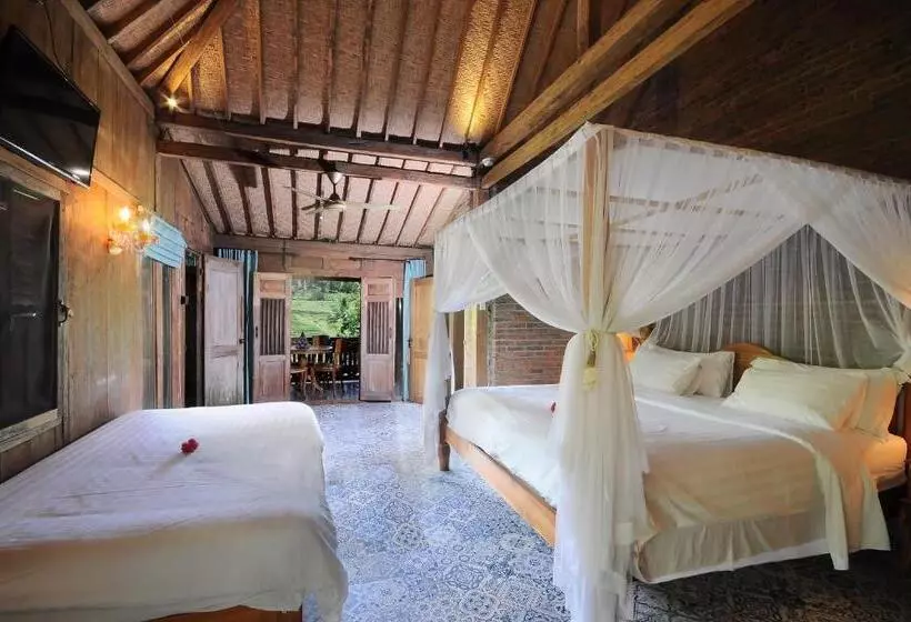 ベッドアンドブレックファースト Bali Lush