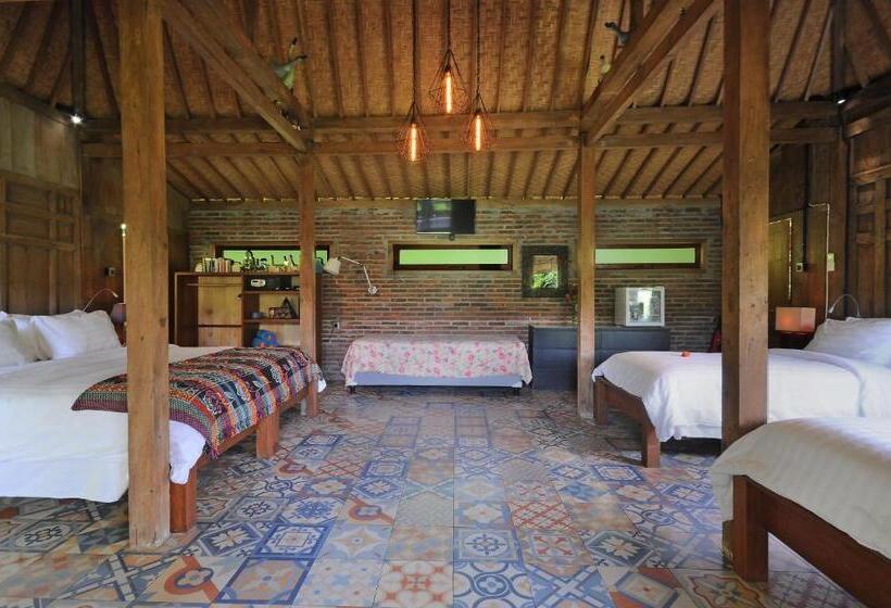 مبيت وإفطار Bali Lush