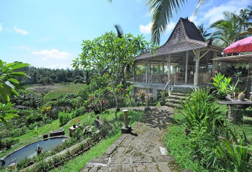 مبيت وإفطار Bali Lush