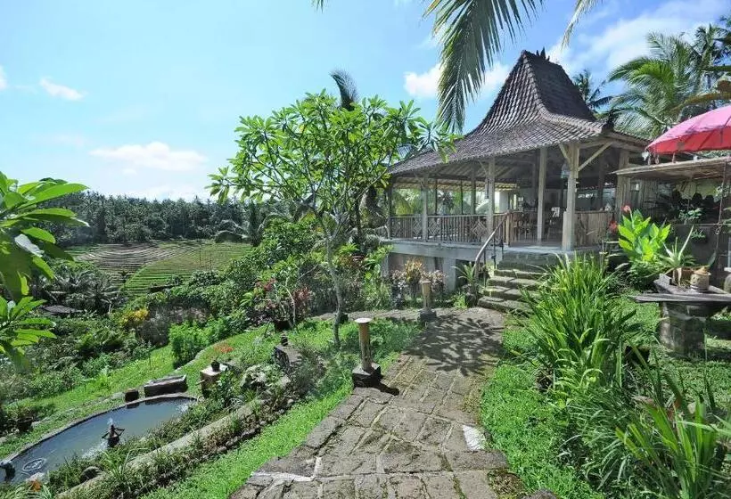 ベッドアンドブレックファースト Bali Lush