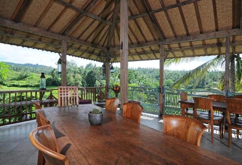 مبيت وإفطار Bali Lush