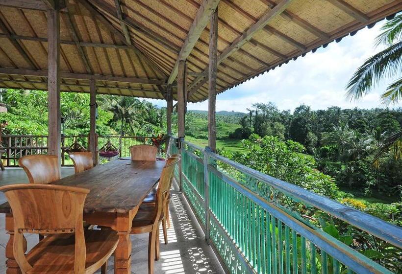 مبيت وإفطار Bali Lush