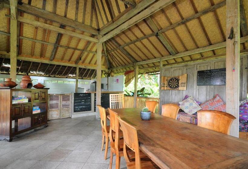 مبيت وإفطار Bali Lush