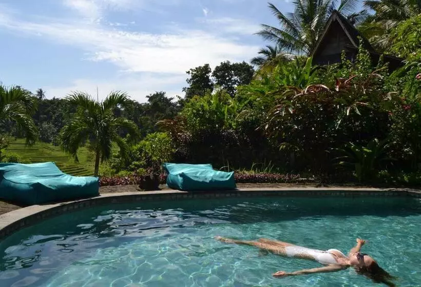 ベッドアンドブレックファースト Bali Lush