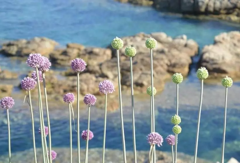 تختخواب و صبحانه La Striscia Larga