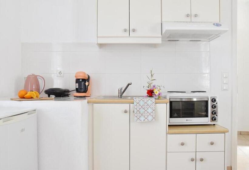 Captain Apartments Paros