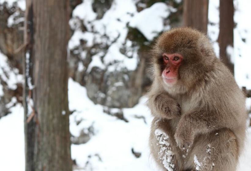 בית מלון כפרי Aburaya Tousen
