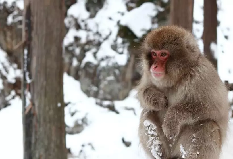 בית מלון כפרי Aburaya Tousen