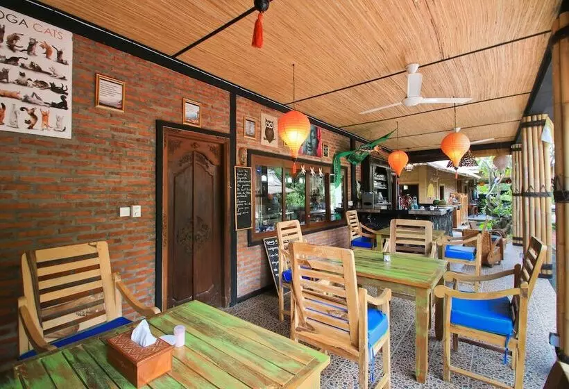 هتل Amed Harmony Bungalows And Villas
