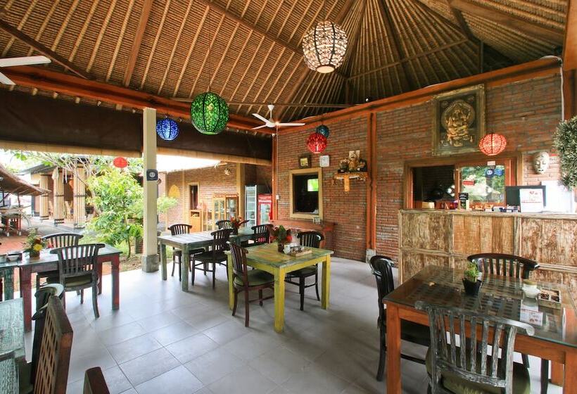 Отель Amed Harmony Bungalows And Villas