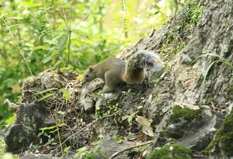 Hotel Anda Resort Izukogen
