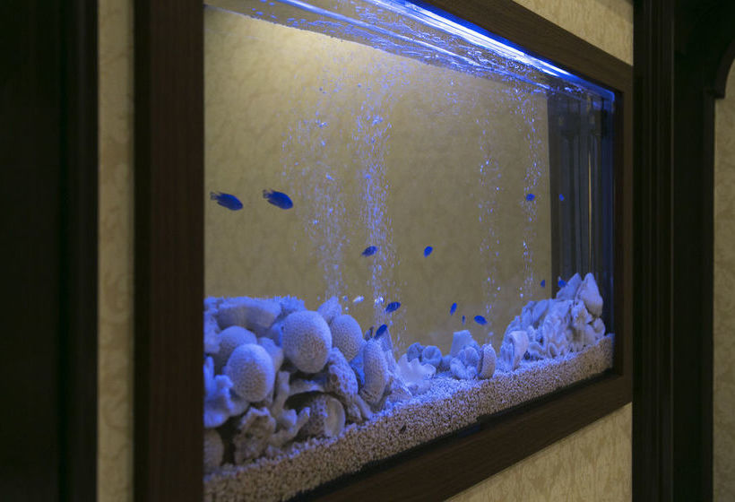 فندق Atlantis Toyonaka - Adults Only