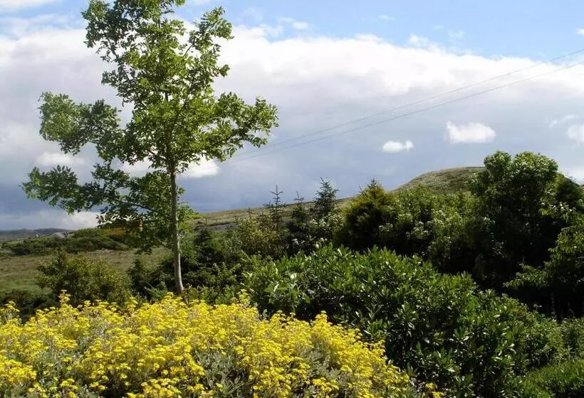 هتل Ben Breen House B&b