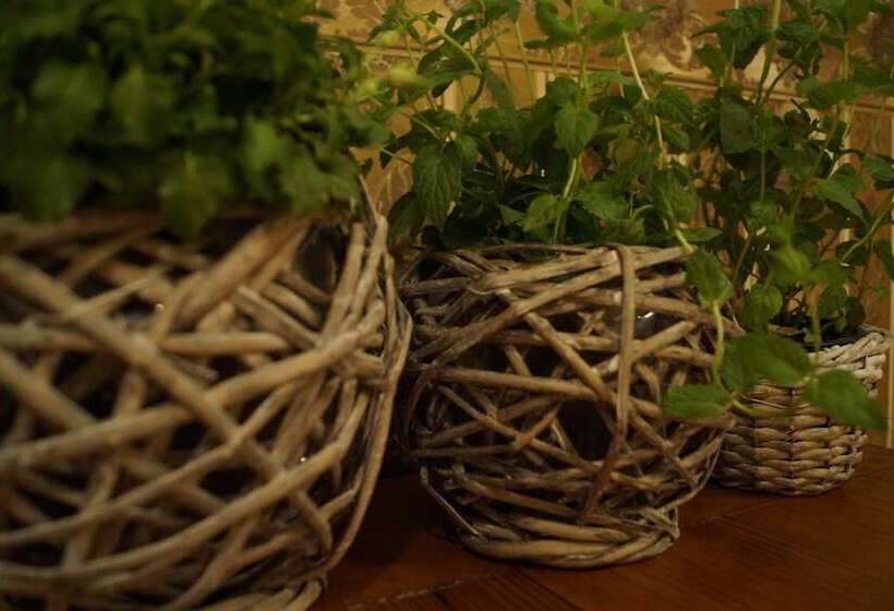 ホテル Boutique Troy