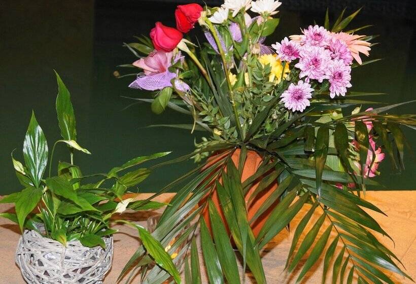 ホテル Boutique Troy