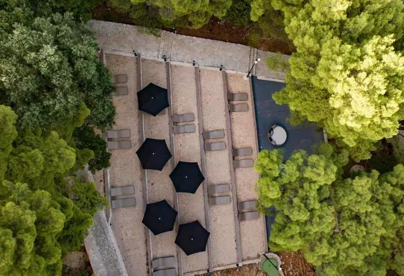 ホテル Labranda Senses Resort