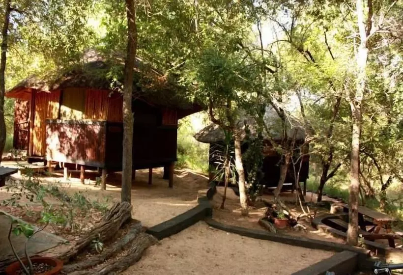 هتل Off Beat Safaris Bush Lodge