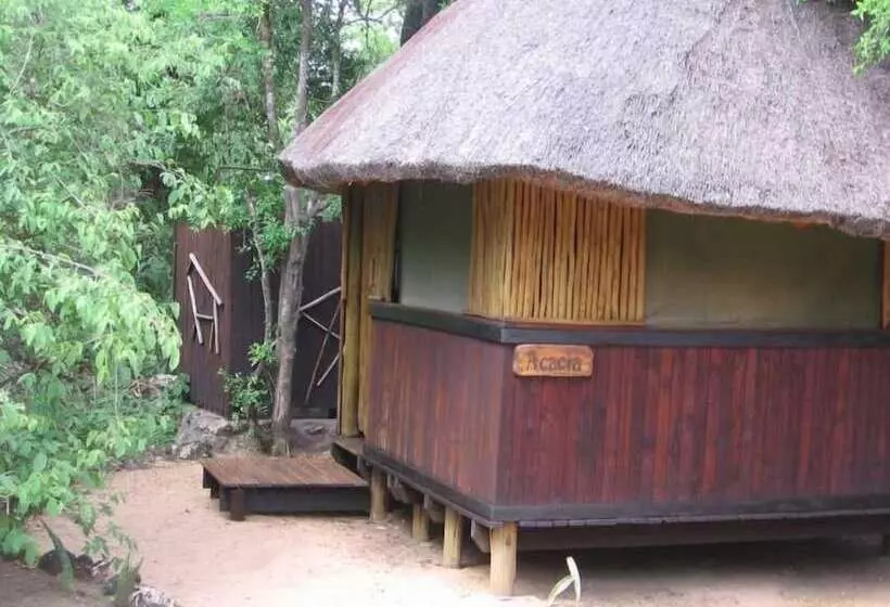 هتل Off Beat Safaris Bush Lodge
