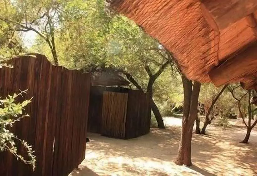 هتل Off Beat Safaris Bush Lodge