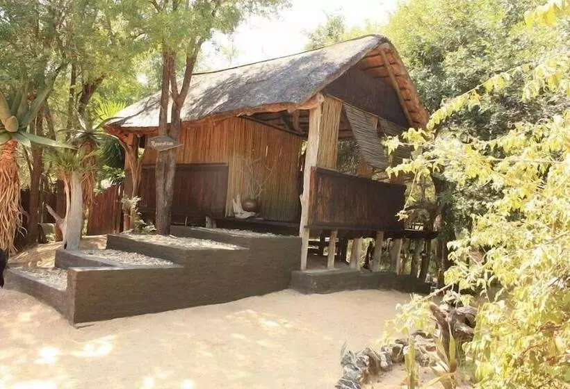 هتل Off Beat Safaris Bush Lodge