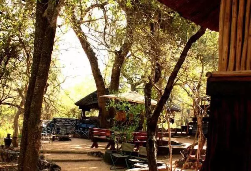 هتل Off Beat Safaris Bush Lodge