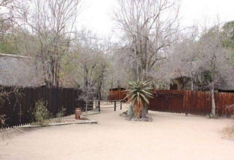 בית מלון כפרי Off Beat Safaris Bush Lodge